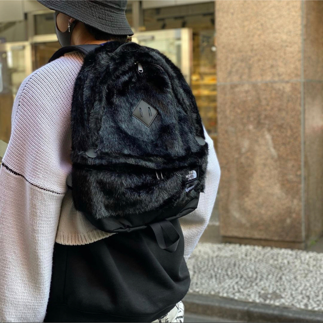 Supreme The North Face Faux Fur Backpack