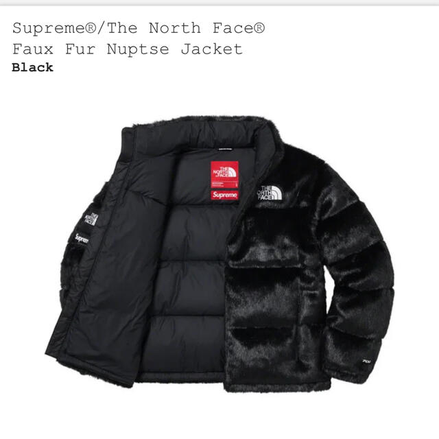 Supreme The North Face® Faux Fur Nuptse