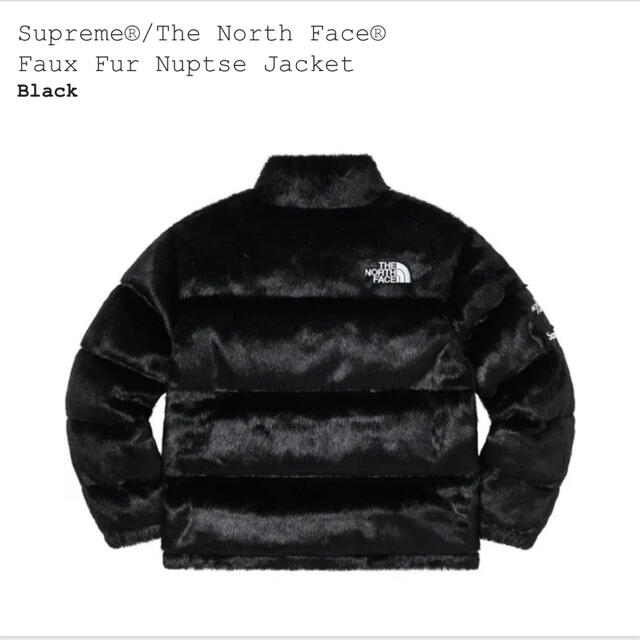 Supreme The North Face® Faux Fur Nuptse