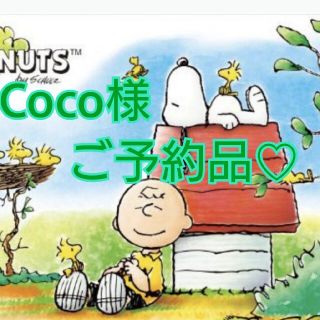 スヌーピー(SNOOPY)の💕Coco様ご予約品💕ペットパラダイス🐾スヌーピーリサガスDS SS 3S(犬)