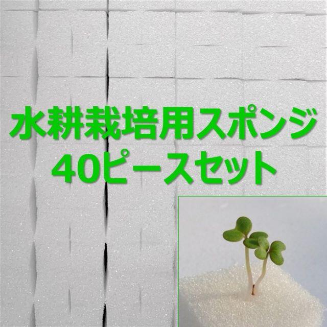 無農薬 水耕栽培！十字切れ目入りスポンジ(2.5×2.5cm)★ 40株分 ハンドメイドのフラワー/ガーデン(プランター)の商品写真