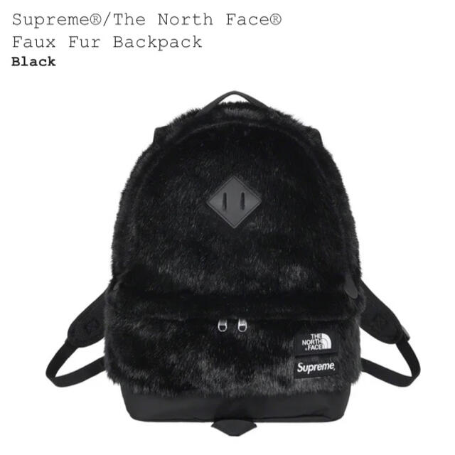 Supreme North Face Faux Fur Backpack