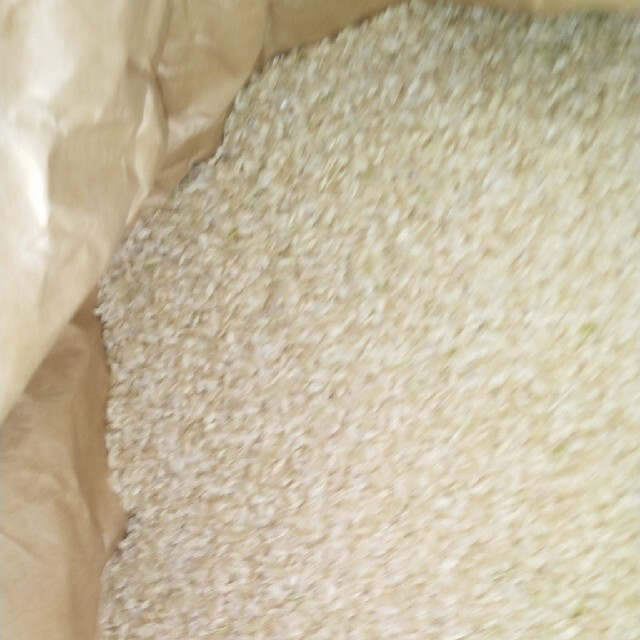 令和2年産栃木県コシヒカリ一等米30キロ無農薬にて作ったお米 令和2年産栃木県コシヒカリ一等米30キロ無農薬にて作ったお米