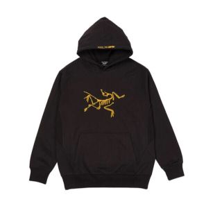 Palace Arcteryx コラボ　パーカー