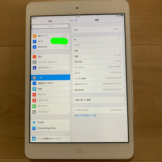 iPad mini