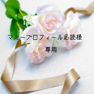 マミープロフィール必読様専用　お米　令和２年　愛媛県産コシヒカリ　玄米　30㎏(米/穀物)