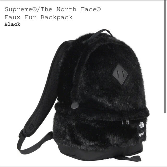 メンズSupreme The North Face Faux Fur Backpack