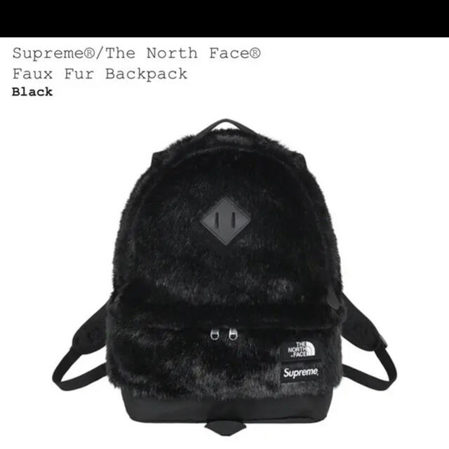 Supreme The North Face Faux Fur BackPack