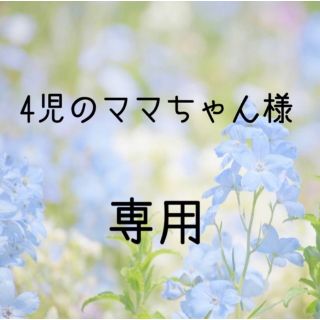 4児のママちゃん様専用  お米　令和2年　愛媛県産キヌヒカリ　玄米　30㎏(米/穀物)