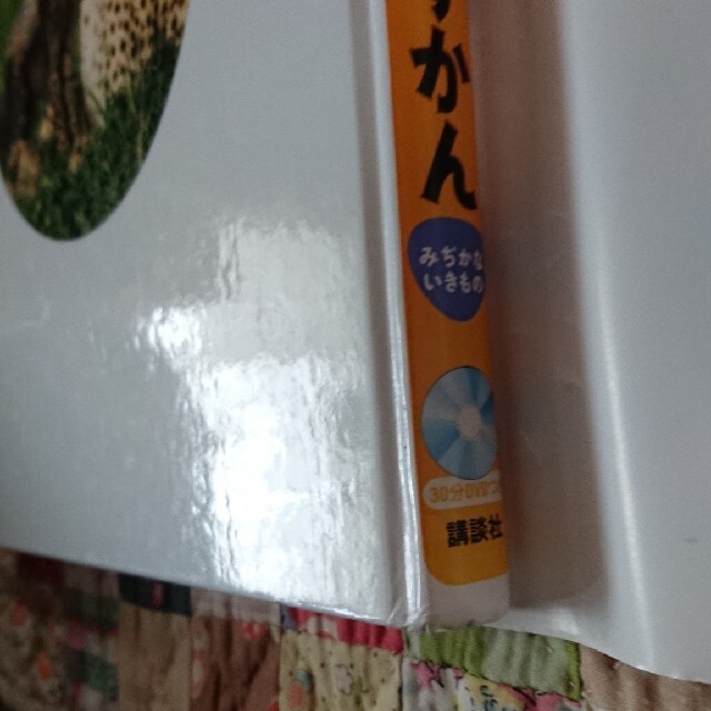 講談社(コウダンシャ)のはじめてのずかん DVD付き エンタメ/ホビーの本(絵本/児童書)の商品写真