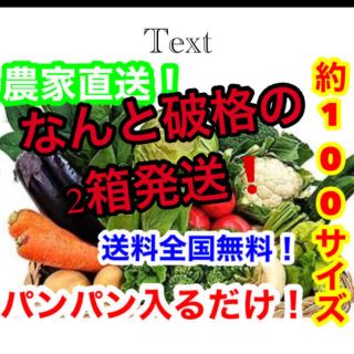 約破格❗️100サイズ2箱発送❗️農家直送野菜詰め合わせ送料全国無料❗️(野菜)