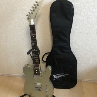 フェルナンデス(Fernandes)のフェルナンデス　TEJ リミテッドエディション　シルバー　ギターケース付(エレキギター)