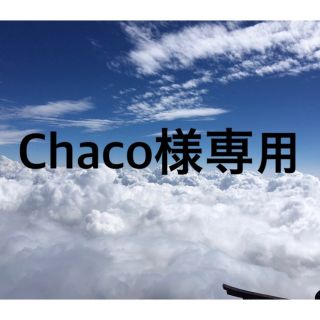 【Chaco様専用】ピエラ グラスネイル 瞬間ツヤ爪(ネイル用品)