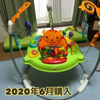 フィッシャープライス(Fisher-Price)の専用【購入から1年未満】フィッシャープライス レインフォレスト ジャンパルー(ベビージム)