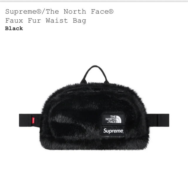 Supreme(シュプリーム)のSupreme North Face Faux Fur Waist Bag メンズのメンズ その他(その他)の商品写真
