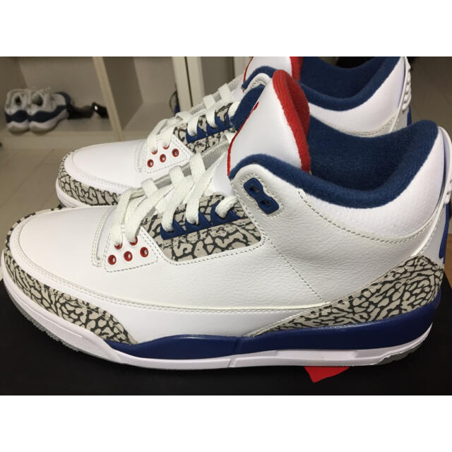 AIRJORDANAIR JORDAN 3 Retro True Blue 28cm