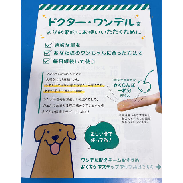 ドクターワンデル　30g 犬用ハミガキ 1