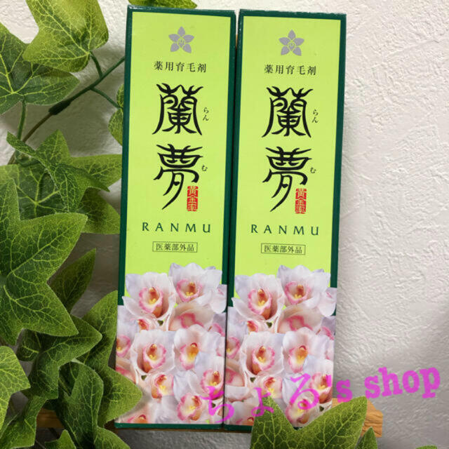 薬用育毛剤　蘭夢(らんむ)　100ml　2本セット