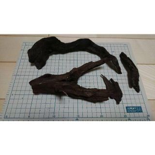 ADA オールドブラックウッド　流木(アクアリウム)