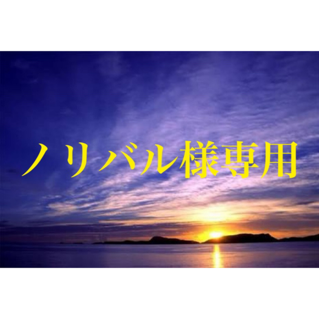 白井田七 サプリメント  未開封 4袋セット