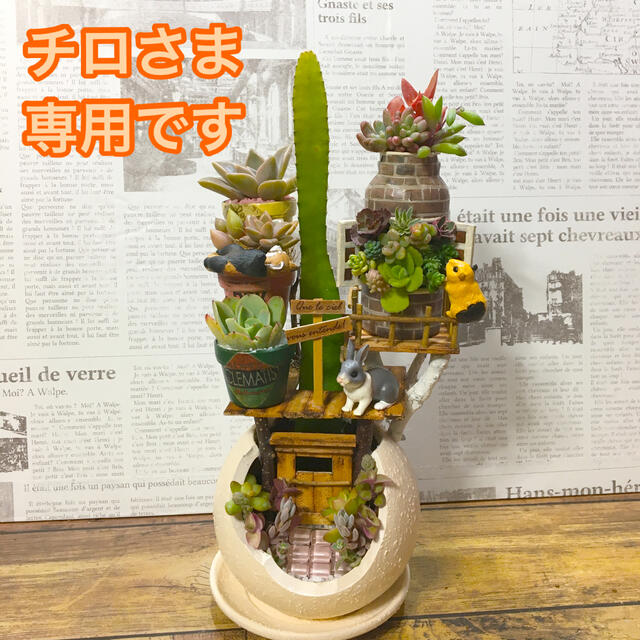 多肉植物の寄せ植え　森のペンション ハンドメイドのフラワー/ガーデン(その他)の商品写真