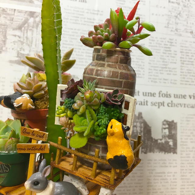 多肉植物の寄せ植え　森のペンション ハンドメイドのフラワー/ガーデン(その他)の商品写真