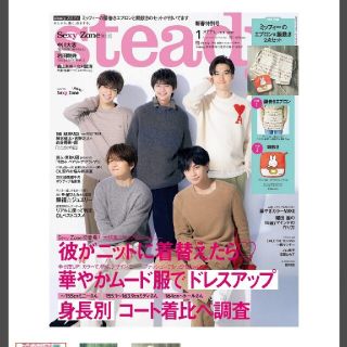 タカラジマシャ(宝島社)の専用です。2021年1月号 steady(ファッション)