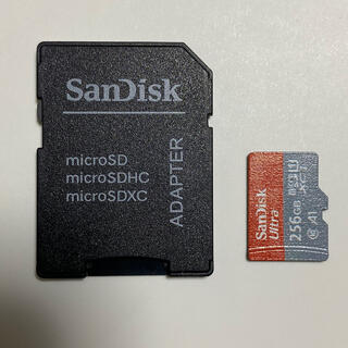 microsd 256GB(その他)