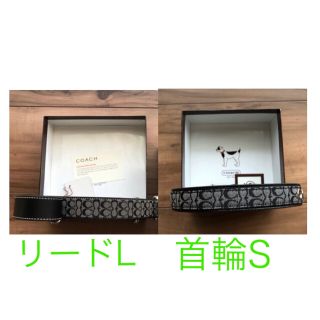 Coach シグネチャー  リード L  2点セット