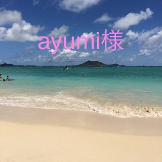 ayumi様専用ページ(バッグ/レッスンバッグ)