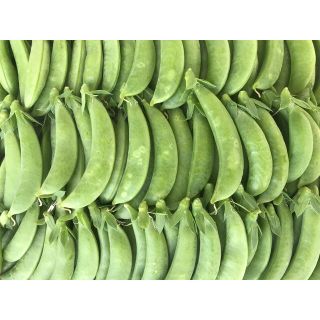 スナップエンドウB(野菜)