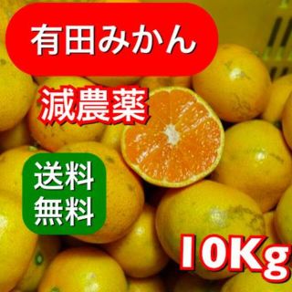 【有田みかん】完熟10kg 減農薬　防腐剤・除草剤不使用(フルーツ)