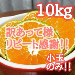 1【訳あって様リピ割】早生みかん 10kg ミカン農家直送(フルーツ)