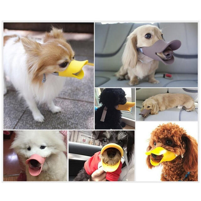 送込 新品 犬 口輪 小型犬 中型犬 大型犬 キズ舐め止め アヒル口 S M Lの通販 By 爆安市場 S Shop ラクマ 送込 新品 犬 口輪 小型犬 中型犬 大型犬 キズ舐め止め アヒル口 S M Lの通販 By 爆安市場 S Shop ラクマ