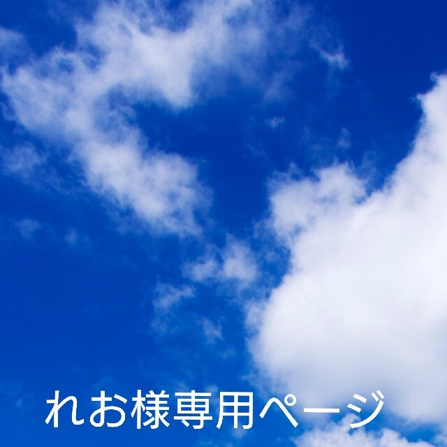 れお様 専用出品の通販 by Naty-made˙ᵕ˙⑅|ラクマ