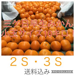 訳あり三ケ日みかん　小玉10キロ (箱の重さ込み)(フルーツ)