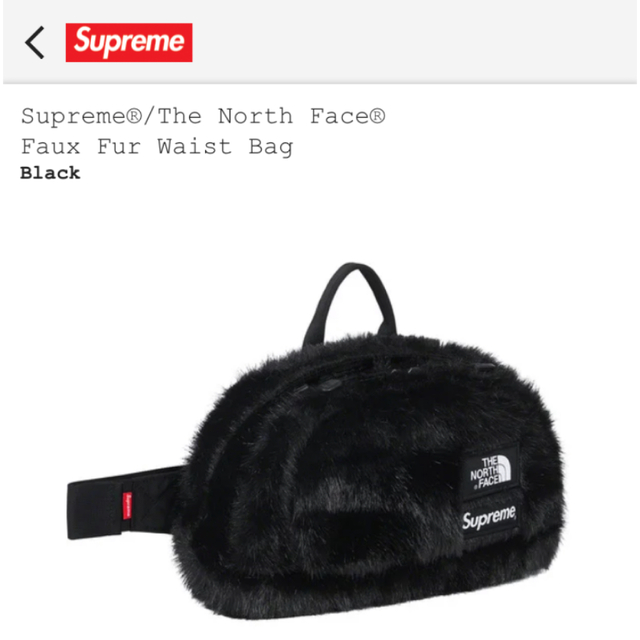 Supreme North Face Faux Fur Waist Bag★