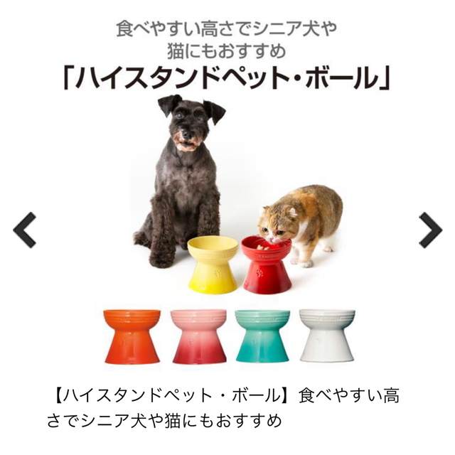 LE CREUSET(ルクルーゼ)のル・クルーゼ　ペット　フードボウル　餌入れ その他のペット用品(犬)の商品写真