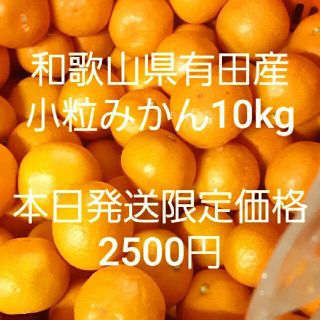 本日発送限定 和歌山県有田産 小粒みかん10kg(フルーツ)