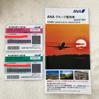 ANA株主優待券　2枚　2021年11月30日迄(その他)