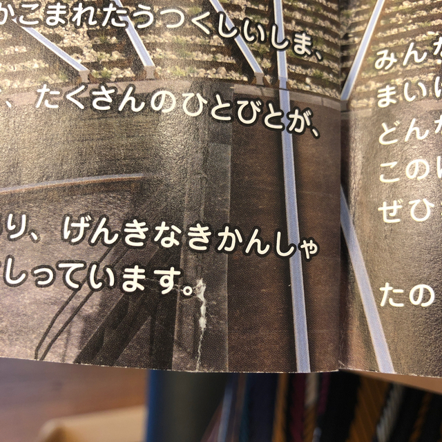 お値下げ❣️トーマス図鑑 エンタメ/ホビーの本(絵本/児童書)の商品写真