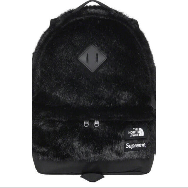 Supreme/The North Face Faux Fur Backpack