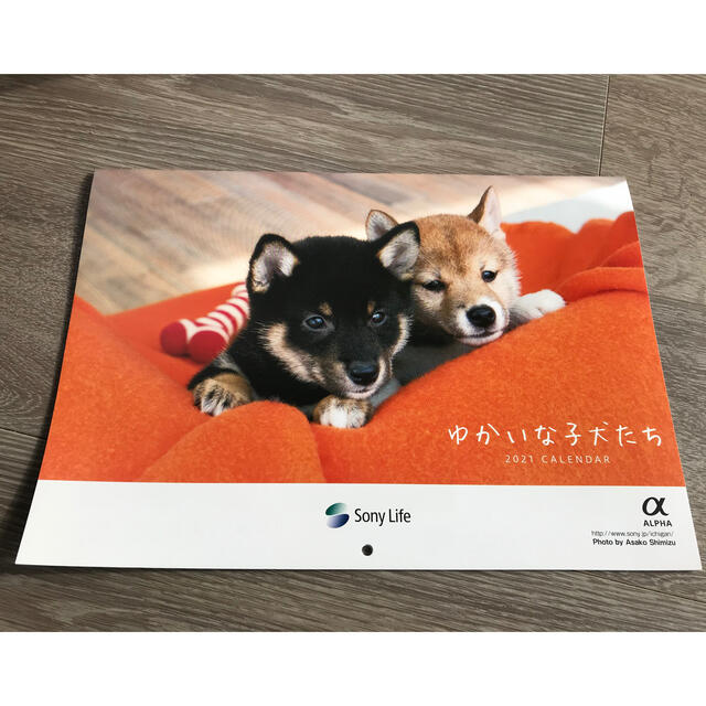 SONY(ソニー)のかわいい子犬カレンダー2021 インテリア/住まい/日用品の文房具(カレンダー/スケジュール)の商品写真