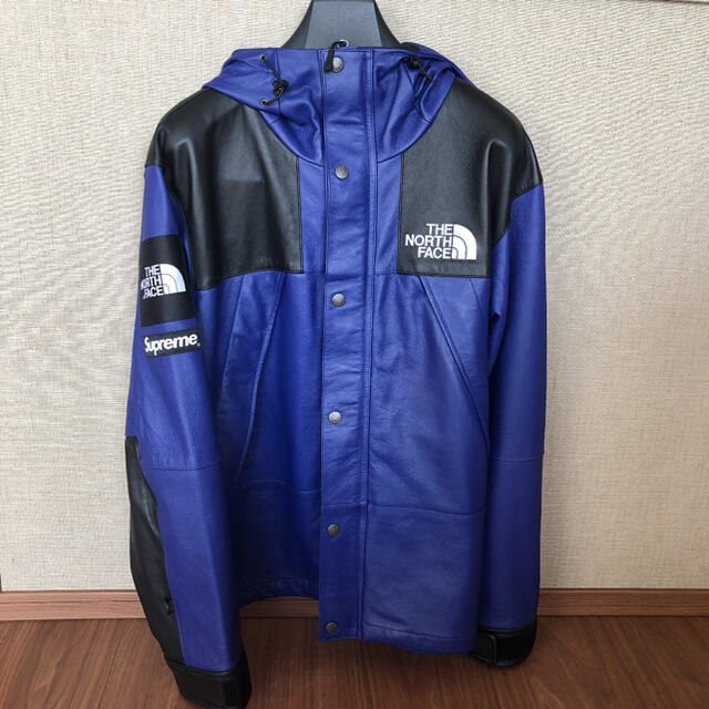 Supreme  The North Face Leather Mountain