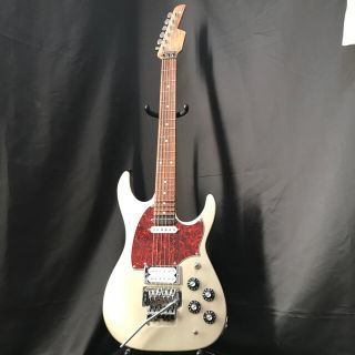 Epiphone Epiphone Shinichi Ubukata Es355の通販 ラクマ Epiphone Epiphone Shinichi Ubukata Es355の通販 ラクマ