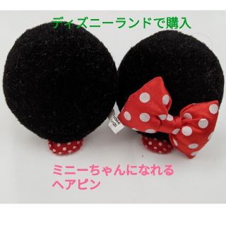 ディズニー(Disney)の東京ディズニーランドで購入　ミニーちゃんのヘアピン(ヘアピン)