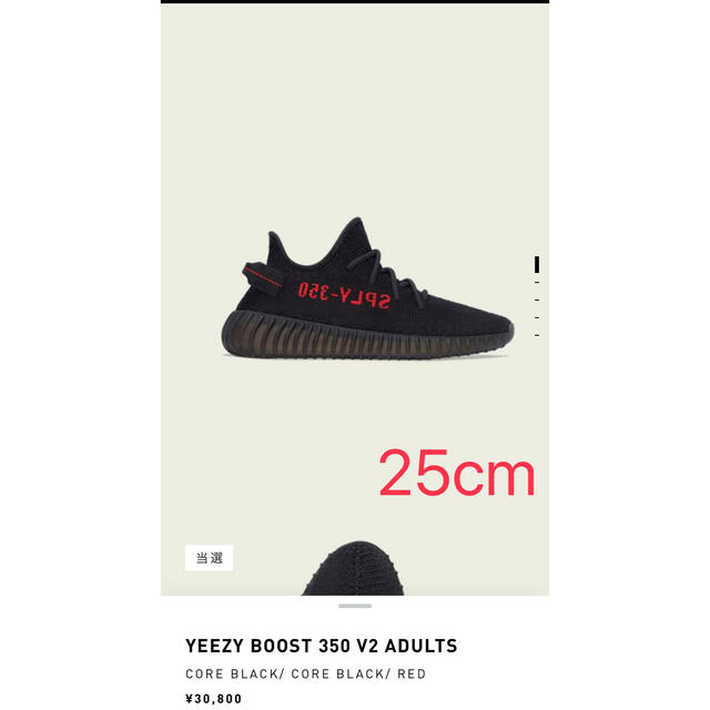 adidas(アディダス)のYEEZY BOOST 350 V2 ADULT メンズの靴/シューズ(スニーカー)の商品写真