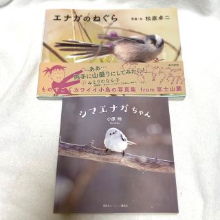 エナガ シマエナガちゃん 写真集2冊とペンケースの通販 By たましん Shop ラクマ エナガ シマエナガちゃん 写真集2冊とペンケースの通販 By たましん Shop ラクマ