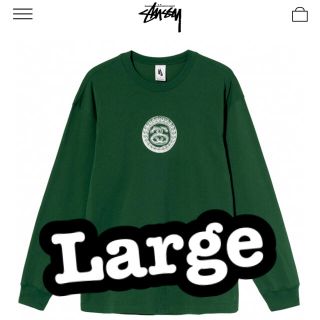 ステューシー(STUSSY)のSTUSSY NIKE SS LINK LS TEE GREEN(Tシャツ/カットソー(半袖/袖なし))