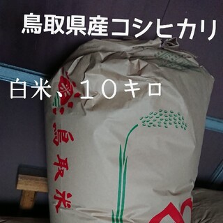 白米,、１０キロ、令和２年，鳥取県産コシヒカリ(米/穀物)
